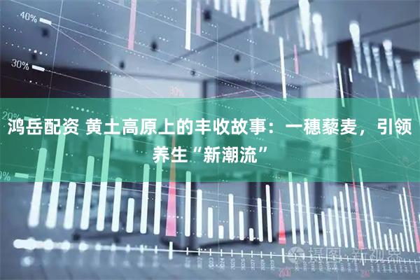 鸿岳配资 黄土高原上的丰收故事：一穗藜麦，引领养生“新潮流”