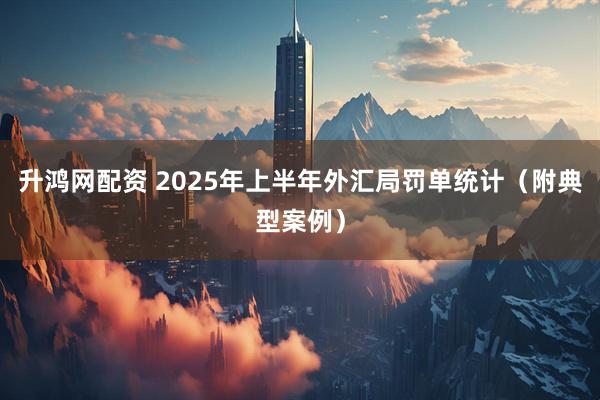 升鸿网配资 2025年上半年外汇局罚单统计（附典型案例）