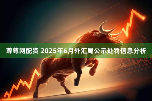 尊尊网配资 2025年6月外汇局公示处罚信息分析