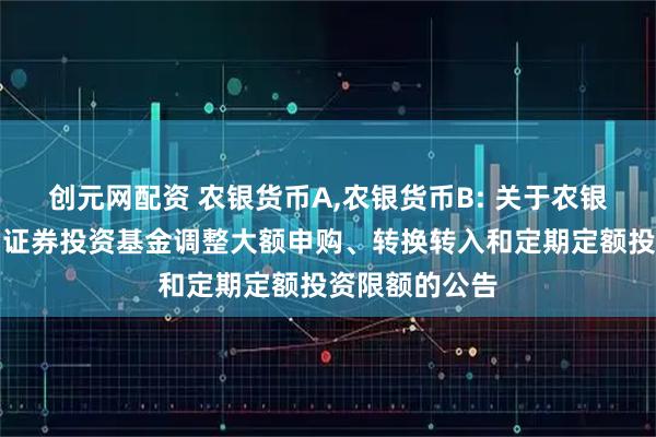 创元网配资 农银货币A,农银货币B: 关于农银汇理货币市场证券投资基金调整大额申购、转换转入和定期定额投资限额的公告