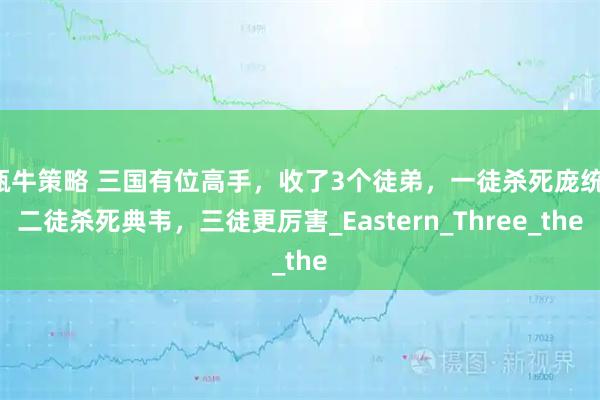 甄牛策略 三国有位高手,收了3个徒弟,一徒杀死庞统,二徒杀死典韦,三徒更厉害_Eastern_Three_the