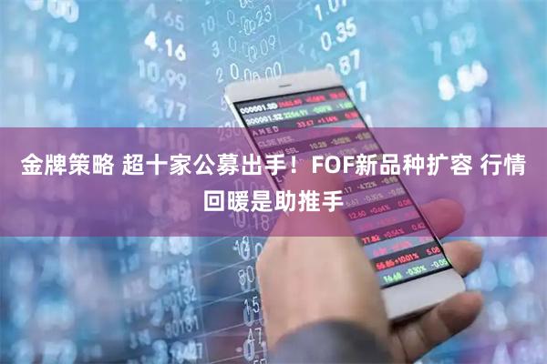 金牌策略 超十家公募出手！FOF新品种扩容 行情回暖是助推手