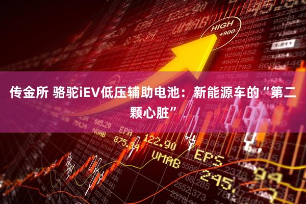 传金所 骆驼iEV低压辅助电池：新能源车的“第二颗心脏”